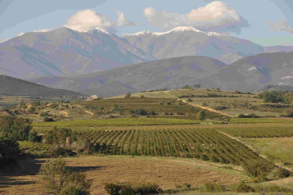 Bezoek onze prachtige streek : De Roussillon ! vakantie logeren bij belgen in frankrijk