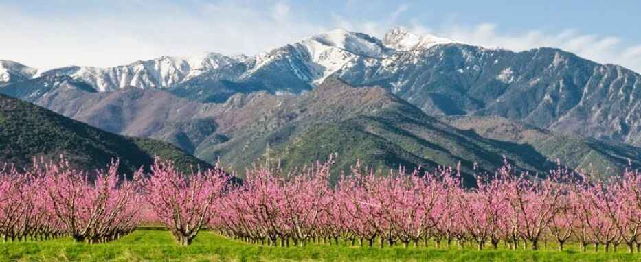 Pyreneeën vakantie logeren bij belgen in frankrijk