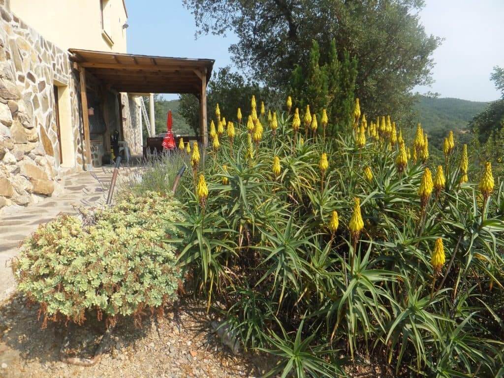 Te koop Chambres d'hôtes & Gîtes (of om te vormen tot Restaurant) in Zuid Frankrijk, 20km van Perpignan. vakantie logeren bij belgen in frankrijk